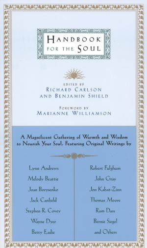 Book cover of Handbook for the Soul