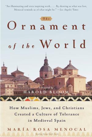 Book cover of The Ornament of the World