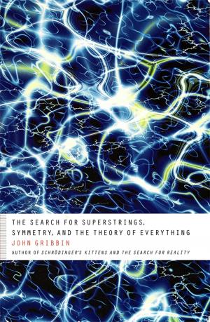 Cover of the book The Search for Superstrings, Symmetry, and the Theory of Everything by James Patterson