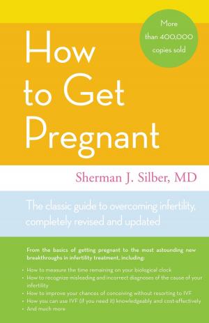 Cover of the book How to Get Pregnant by Idra Novey