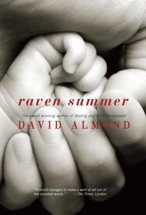 Cover of the book Raven Summer by Cathy Hapka, Ellen Titlebaum