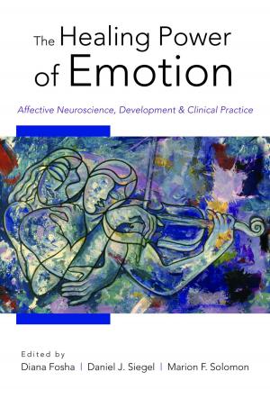 Cover of The Healing Power of Emotion: Affective Neuroscience, Development & Clinical Practice (Norton Series on Interpersonal Neurobiology)