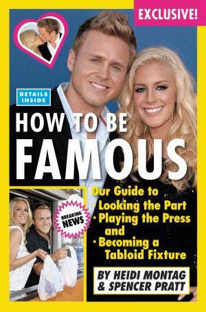 bigCover of the book How to Be Famous by 