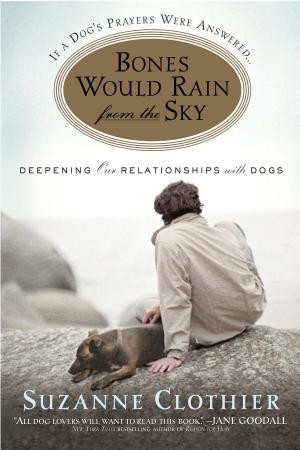 Cover of the book Bones Would Rain from the Sky by Kaja Whitehouse