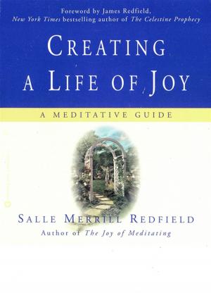 Book cover of Creating a Life of Joy