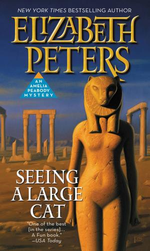 Cover of the book Seeing a Large Cat by Alice Duncan