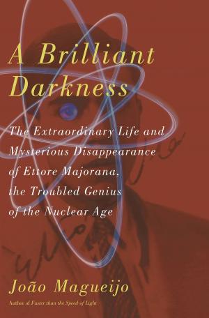 Cover of the book A Brilliant Darkness by Jan Swafford