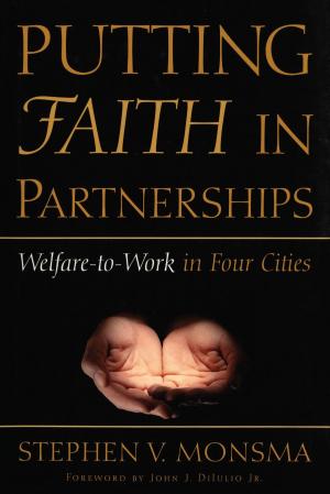 Cover of the book Putting Faith in Partnerships by Timothy R. Johnson, Justin Wedeking, Ryan C Black