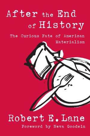 Cover of the book After the End of History by Anna M Parkinson