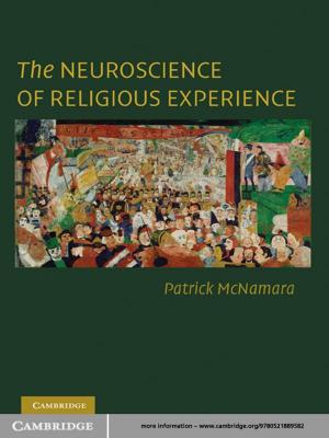 Cover of the book The Neuroscience of Religious Experience by Abraham Stoll