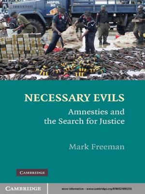 Cover of the book Necessary Evils by Kaarlo Tuori, Klaus Tuori