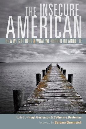 Cover of the book The Insecure American by Ted Beedy, Ed Pandolfino