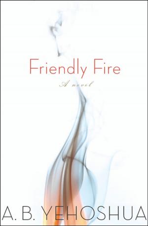 Cover of the book Friendly Fire by Anchee Min