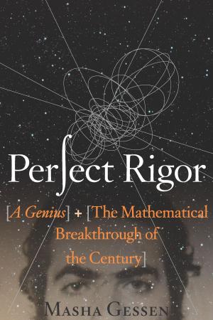Cover of the book Perfect Rigor by Chris Eboch