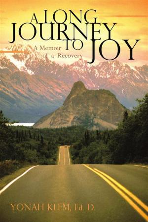 Cover of the book A Long Journey to Joy by Sharon Boorstin