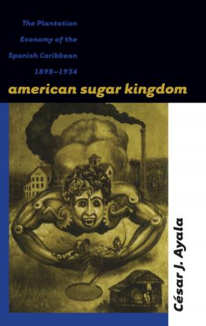 Cover of the book American Sugar Kingdom by Michel Hogue