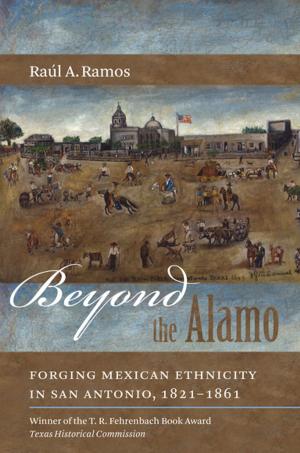 Cover of the book Beyond the Alamo by P.M. Terrell