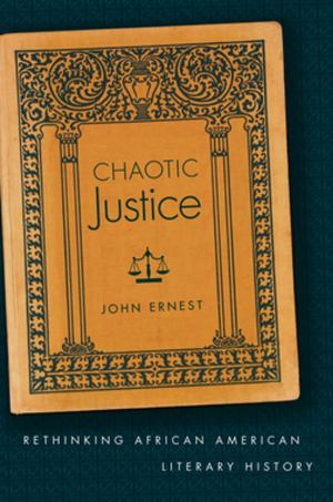Cover of the book Chaotic Justice by Gary D. Stark