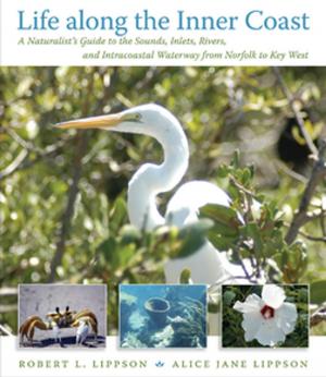 Cover of the book Life along the Inner Coast by Rod Gragg