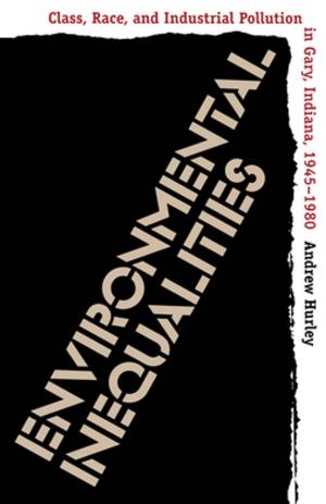 Cover of the book Environmental Inequalities by Christian McWhirter