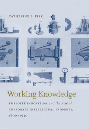 Cover of the book Working Knowledge by Tona J. Hangen