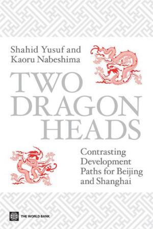 Book cover of Two Dragon Heads: Contrasting Development Paths For Beijing And Shanghai