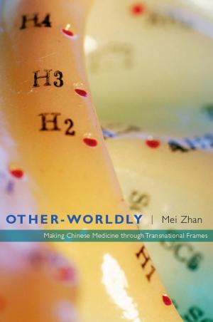 Cover of the book Other-Worldly by Amit S. Rai