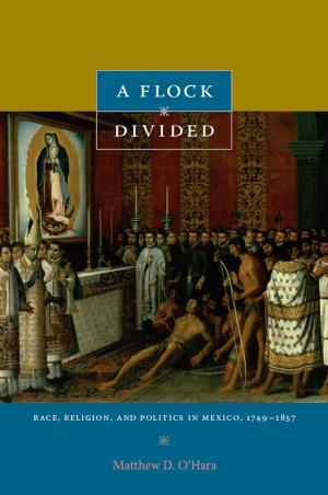 Cover of the book A Flock Divided by Paul Lokken, Russell Lohse, Karl H. Offen, Rina Cáceres Gómez
