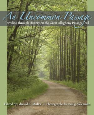 Cover of the book An Uncommon Passage by Lauren Clark