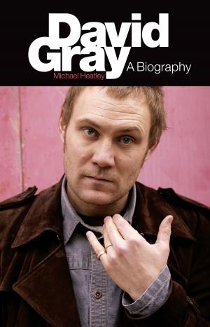 Cover of the book David Gray: A Biography by Music Sales