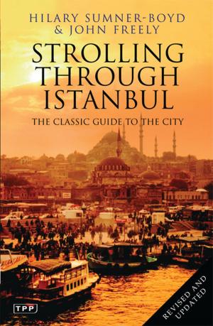 Book cover of Strolling Through Istanbul