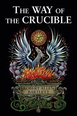 Book cover of The Way of the Crucible