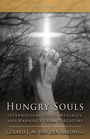 Cover of the book Hungry Souls by Benjamin Wiker Ph.D.