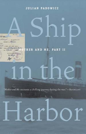 Cover of the book A Ship in the Harbor by Pauline Gedge