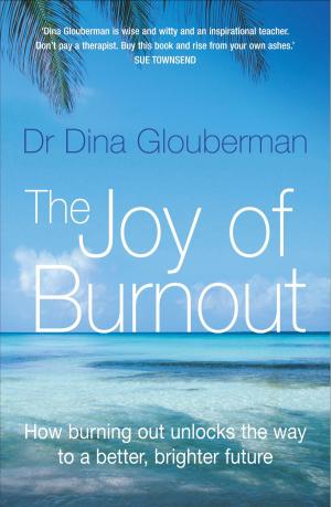 Cover of the book Joy of Burnout: How burning out unlocks the way to a better, brighter future by Martin B.