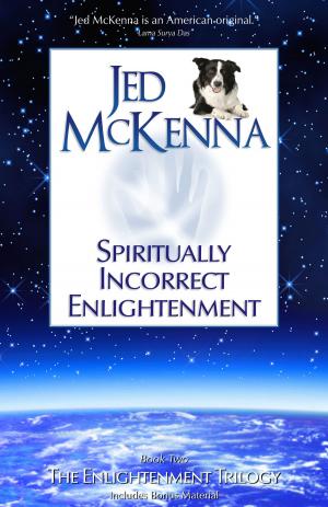 Book cover of Spiritually Incorrect Enlightenment MMX