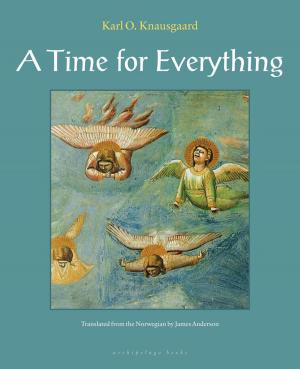 Cover of the book A Time for Everything by Breyten Breytenbach