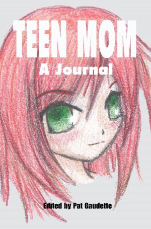 Book cover of Teen Mom: A Journal