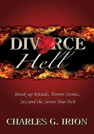 Cover of the book Divorce Hell by Deborah Moskovitch