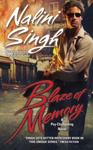 Cover of the book Blaze of Memory by Karen Elizabeth Brown