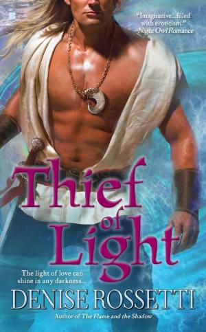 Cover of the book Thief of Light by Penn Jillette