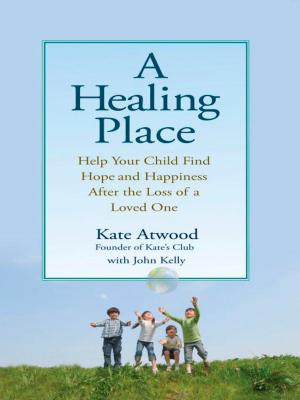 Book cover of A Healing Place
