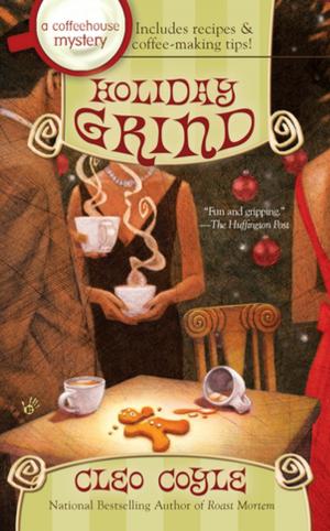 Cover of the book Holiday Grind by Dina Santorelli