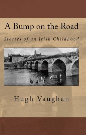 Cover of the book A Bump on the Road by Congruent Spaces