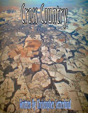 Cover of the book Cross Country by AP Hunt