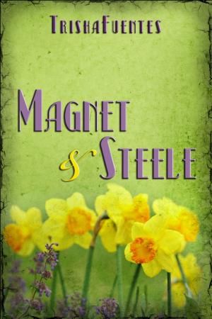 Cover of the book Magnet & Steele by Trisha Fuentes