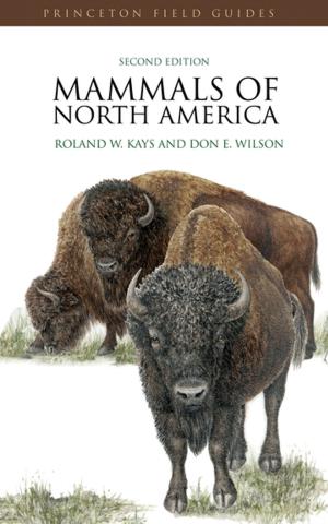 Book cover of Mammals of North America