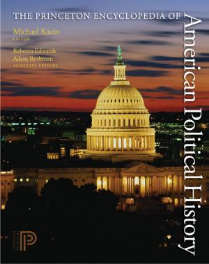 Cover of The Princeton Encyclopedia of American Political History. (Two volume set)