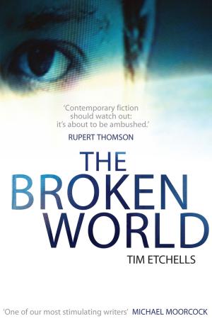 Cover of the book The Broken World by Geoffrey Archer