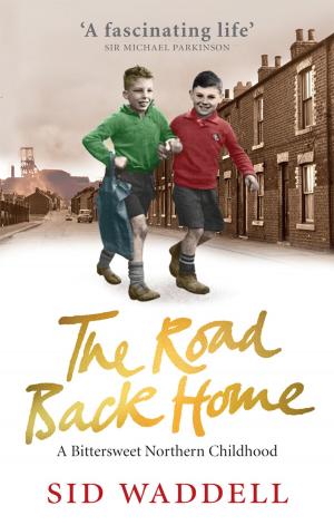Cover of the book The Road Back Home by Rhona Cameron